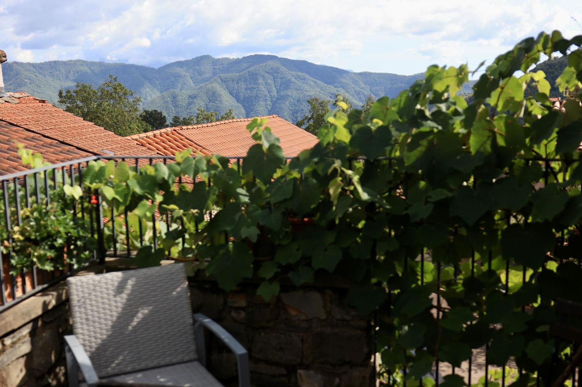 Agriturismo Montagna Verde Apella Licciana Nardi Luaran gambar
